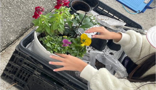 堺市緑花振興会が小学生に寄せ植え教室　開催日：令和3年12月1日