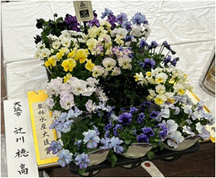 第70回大阪府花き園芸連合会主催の品評会